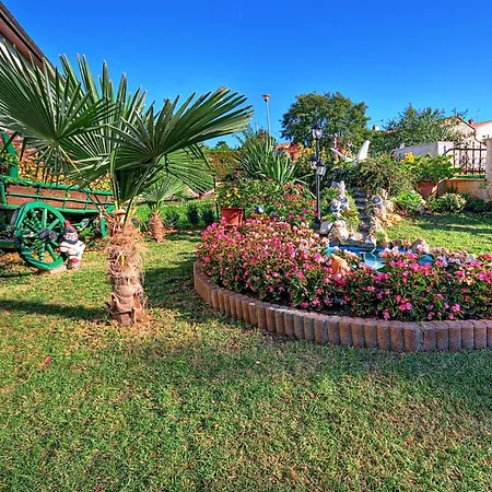 House Lucija Апартаменти